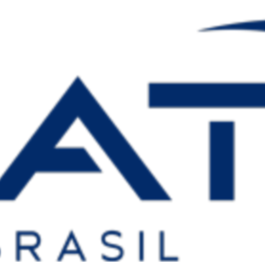 bat logo 