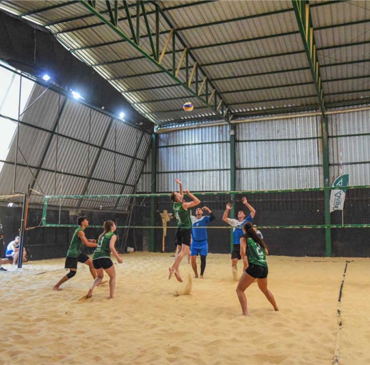 vôlei