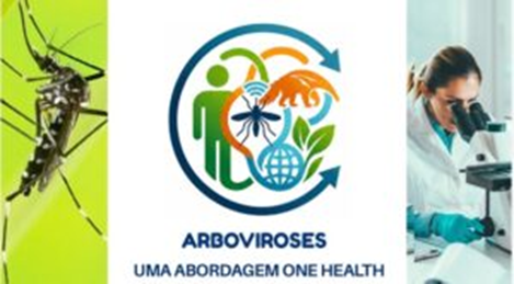 arbovirose