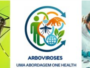 arbovirose