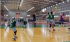 vôlei masculino