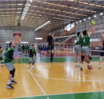 vôlei masculino