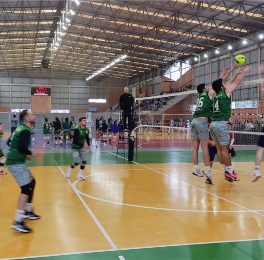 vôlei masculino