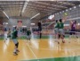 vôlei masculino