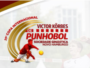 Punhobol