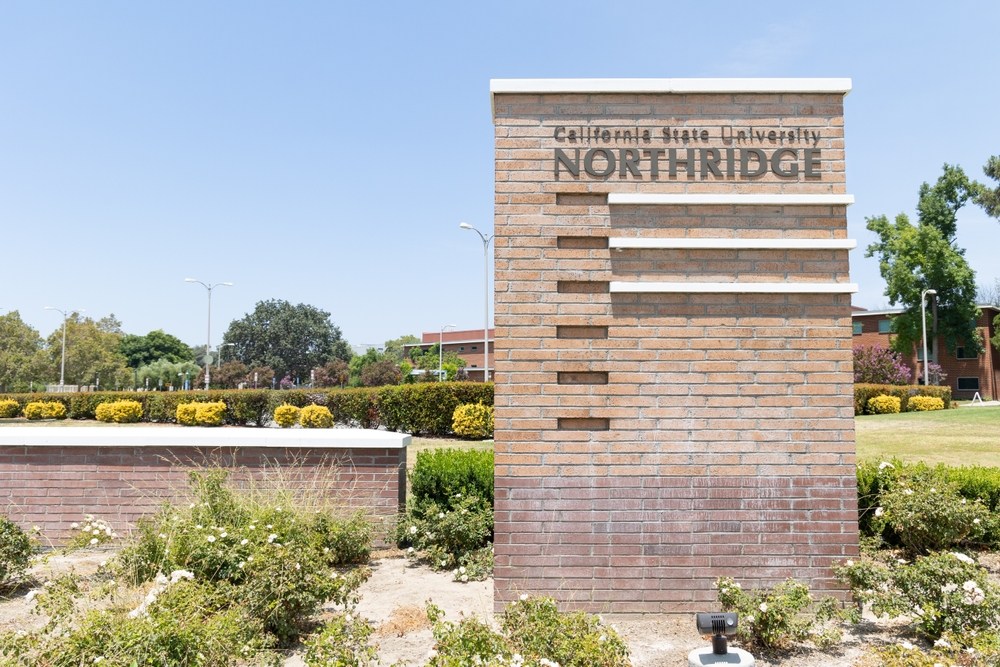 california state university