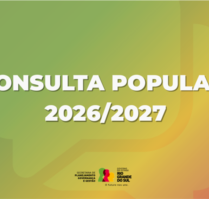 consulta popular