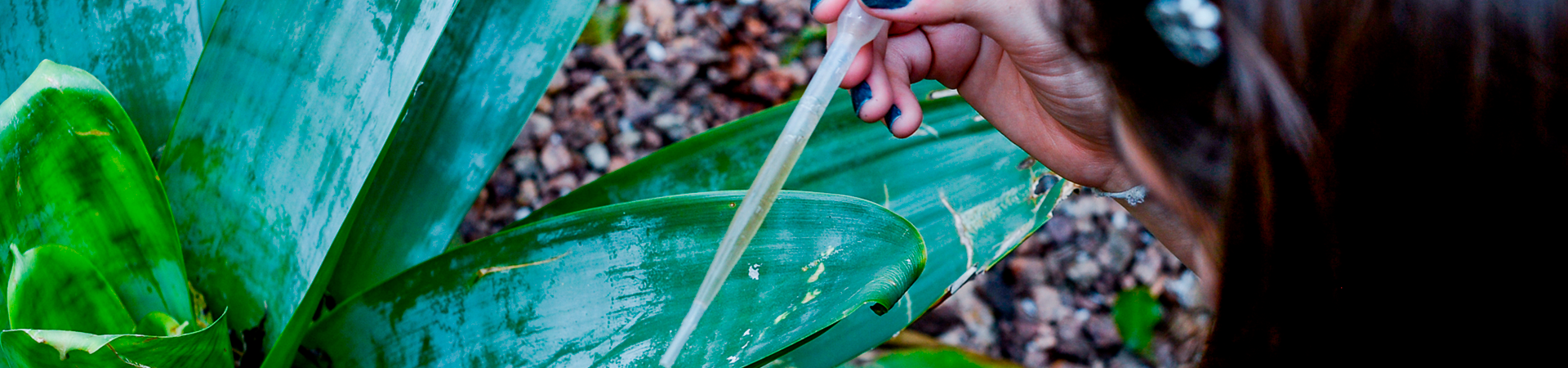 Banner-Desempenho-Ambiental