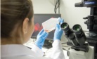 biologia molecular
