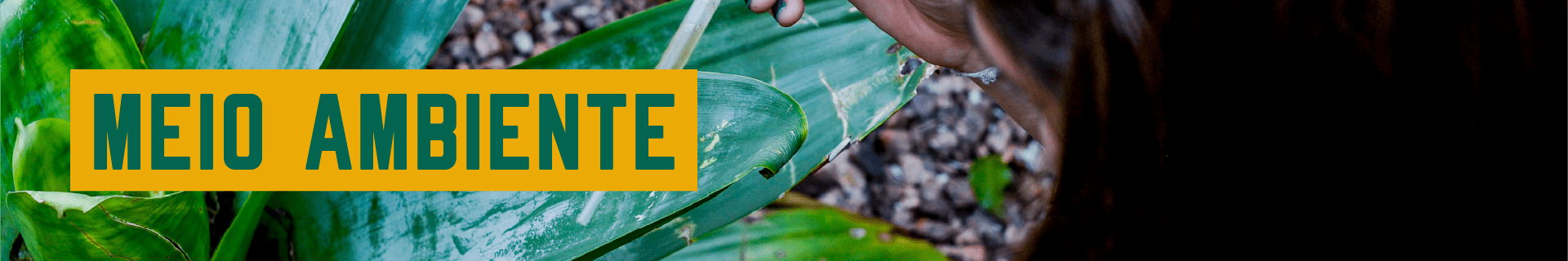 Área Temática: Meio Ambiente