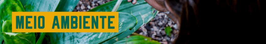 Área temática: Meio Ambiente