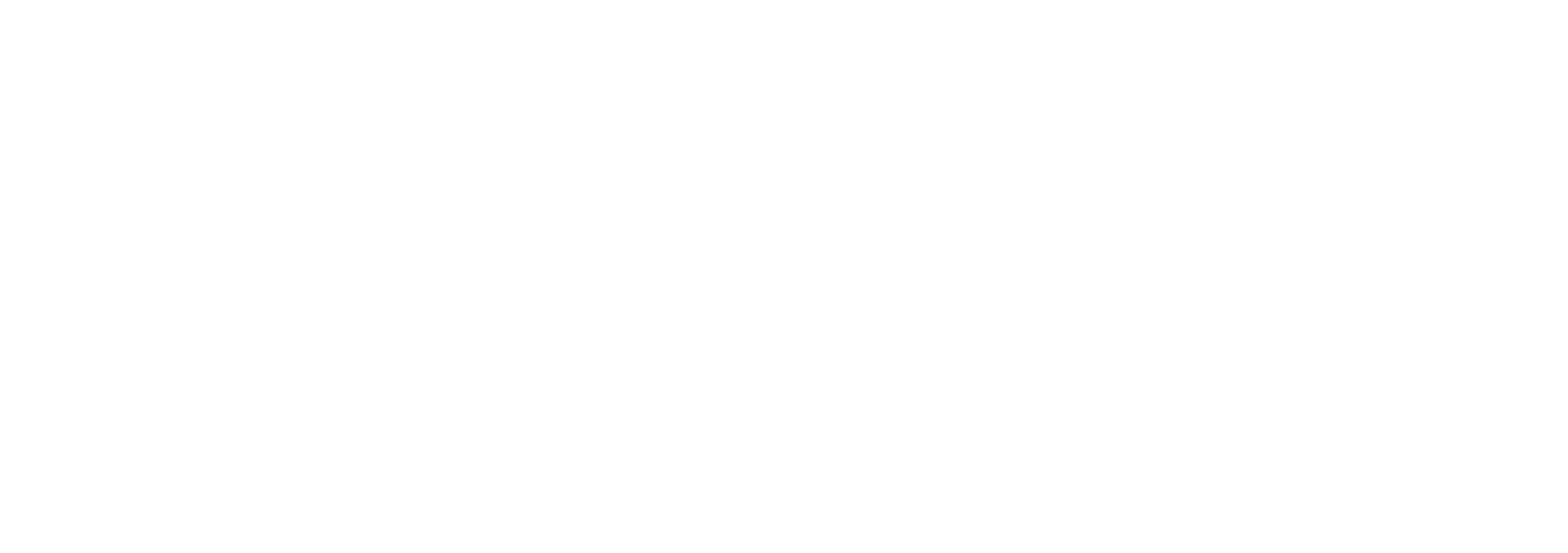 logo da empresa SINDILOJAS