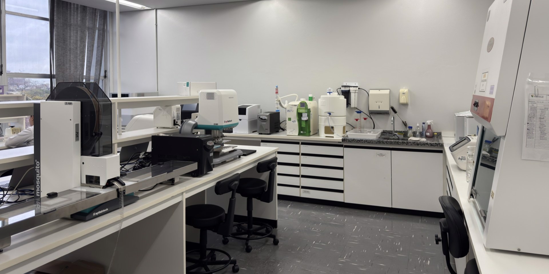 Laboratório de Microbiologia Molecular