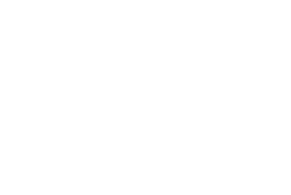 logo da empresa Bolinho Lanz